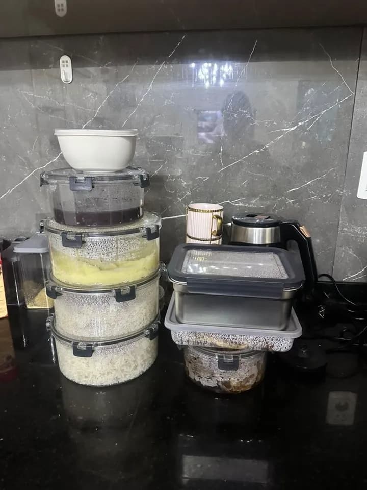 Comidas caseiras organizadas em potes